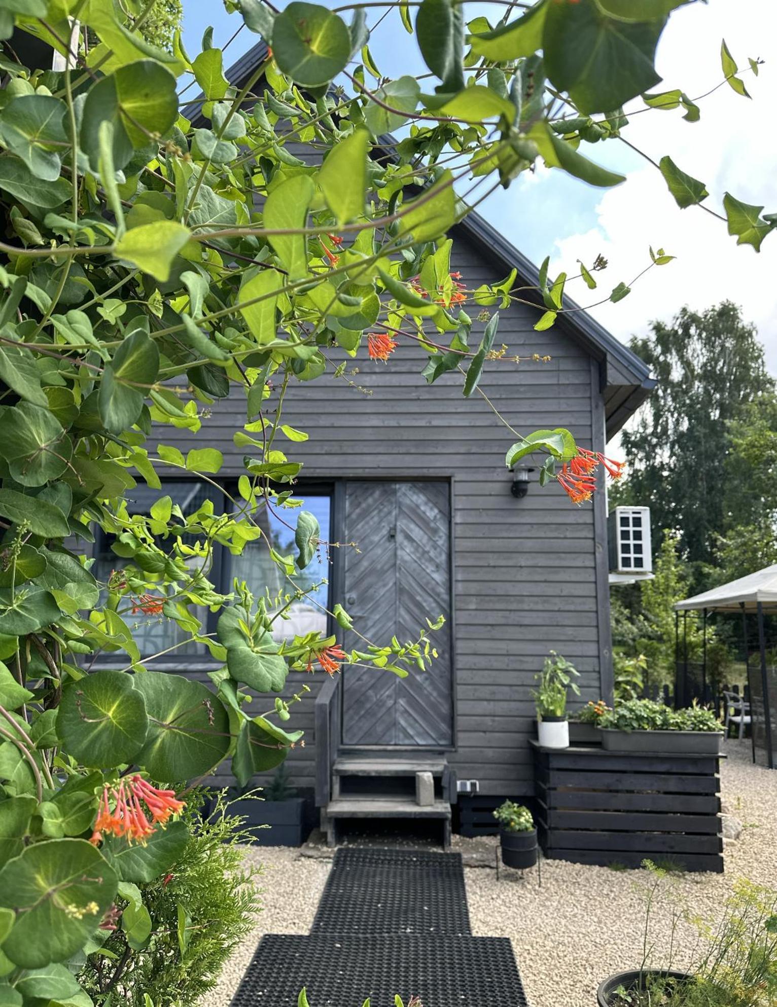 Amazing Little House On An Island With Garden Villa Рига Екстериор снимка